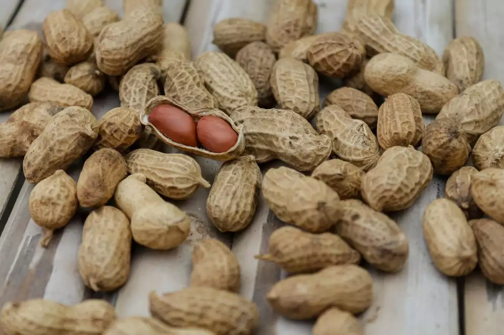 Protein Tycinka